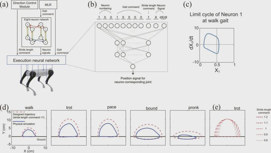 IJRR发表！浙大曲绍兴团队利用八神经元CPG破解四足机器人“步态困局”(图5)